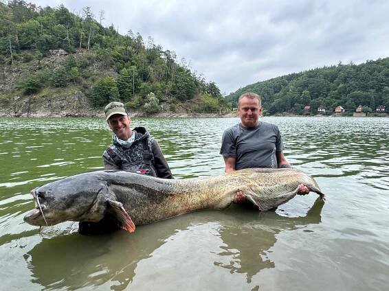 Sumec z Vranovské přehrady chycený v těchto dnech mohl mít okolo 250 centimetrů.