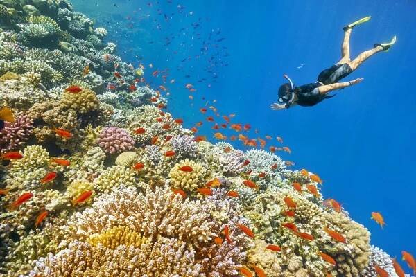 Temples and Beaches of Egypt - BushBaby Travel