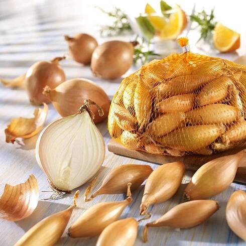 Cibule sazečka žlutá hruškovitá - Allium cepa - prodej cibulek - 250 g