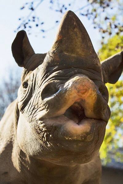 Foto: Proslulá Zoo Dvůr Králové slaví 76 let. Podívejte se na snímky z její historie