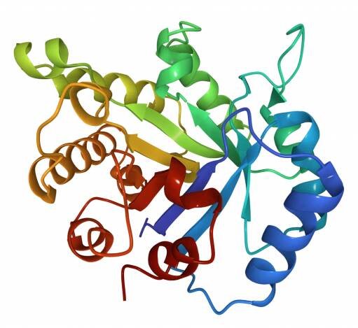 image of a 3D protein folding structure