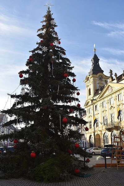 Advent začíná. V Písku v neděli rozsvítí strom a dorazí Andělský rytíř