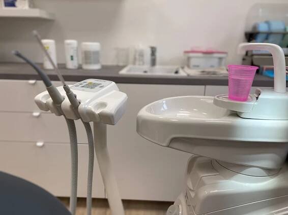 Dentální hygiena - Ladislava Gross