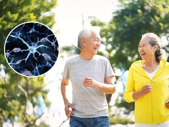 Scientists Reveal Exercises That May Help Fight Off Alzheimer's