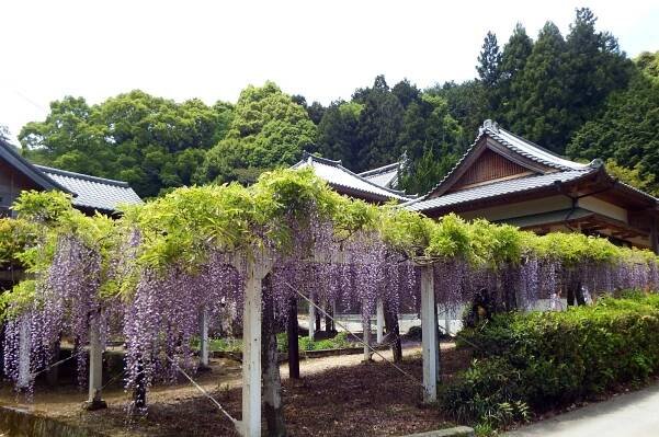 Jošinogawa (Tokušima)