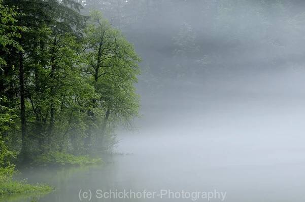 wood Archives - Schickhofer-Photography : Schickhofer-Photography