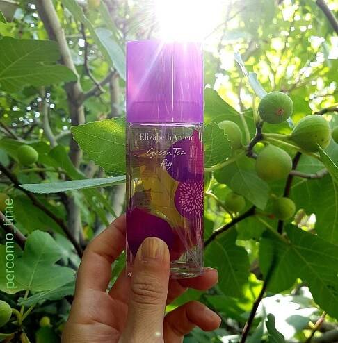 Green Tea Fig Elizabeth Arden pro ženy