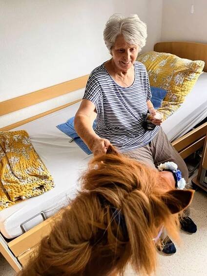 Ponyterapie Chelčice🐴 | Alzheimer Home