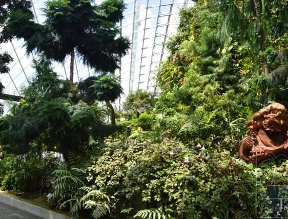 Gardens by the Bay - PAN ASIA TRAVEL – cestujte privátne, zažite viac 