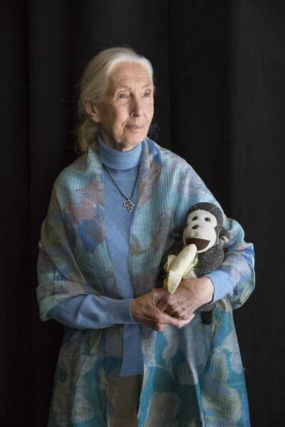 The Storytelling Genius of Jane Goodall and Why Intellectual Arguments Don’t Change Behavior