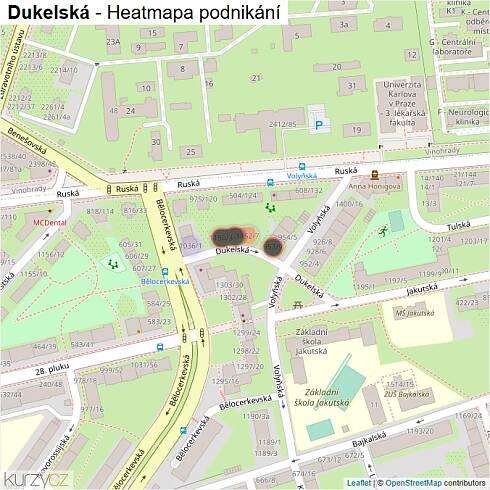 Mapa Dukelská - Firmy v ulici.