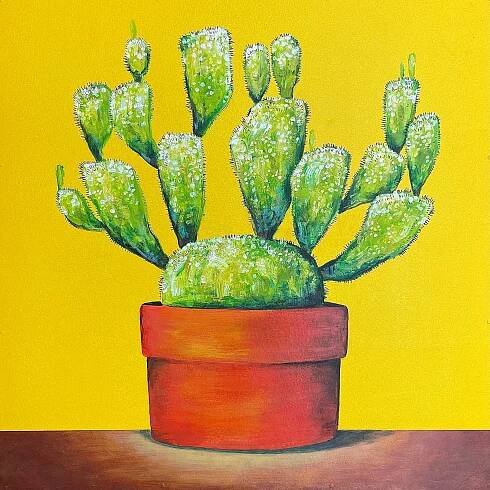 Cactus Red Pot