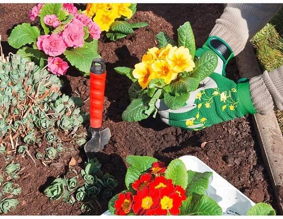 Quale Guanti da Giardinaggio Verdi Comprare? La Classifica dei migliori 5 nel 2025