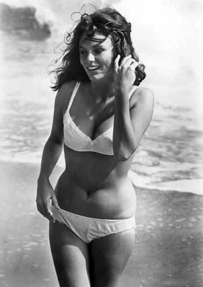 Jacqueline Bisset fotka