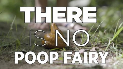 No Poop Fairy