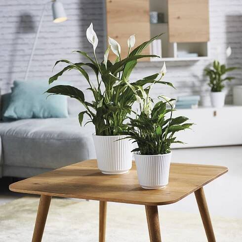 Bílý keramický květináč Big pots Gloss, ø 16 cm