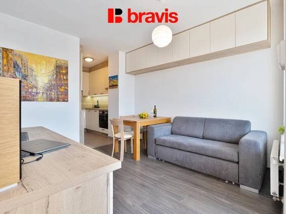 Prodej útulného bytu 1+kk, ul. Dusíkova, Brno - Lesná, plně vybavený, po rekonstrukci, sklep, garážové stání - BRAVIS REALITY