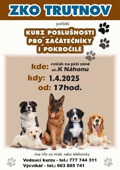 vycvikpsutrutnov.cz – Výcvik psů v Trutnově
