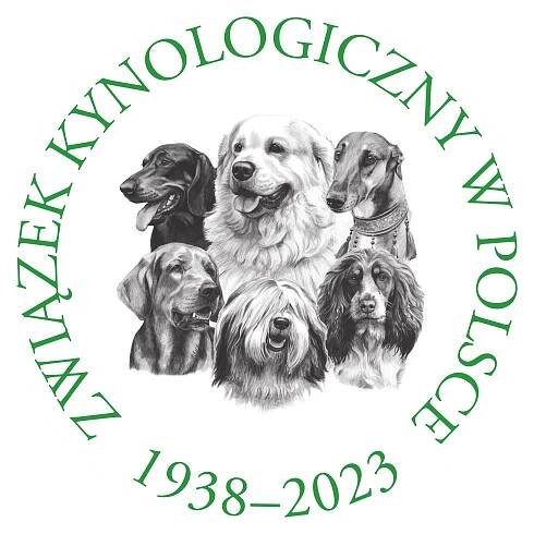 Serenczas FCI –  hodowla owczarek szetlandzki