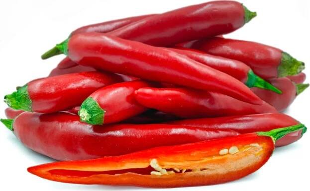 Piquant Paprička chilli Rosso 12 ks