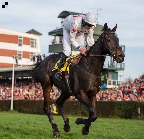Velká pardubická 2014 poprvé
