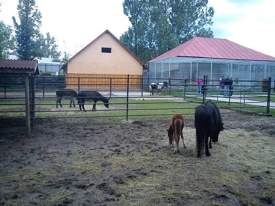 ZOO v Spišskej Novej Vsi | Park, záhrady | Spišská Nová Ves | Košický kraj | Najkrajšie miesta na Slovensku 