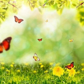 Stáhnout - Jarní nebo letní sezónu pozadí abstraktní s motýly, zelené trávy a listí — Stock obrázek