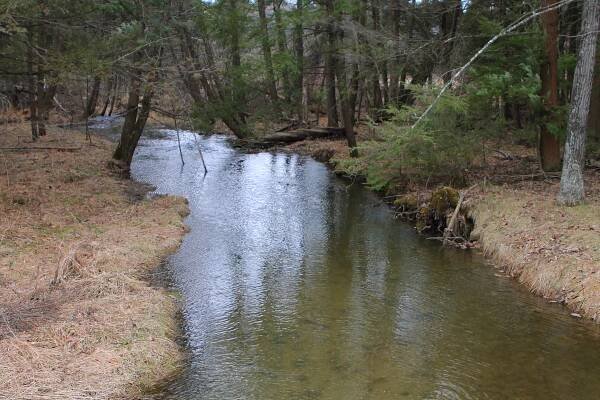 East Branch Raven Creek