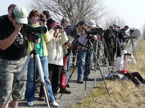 Vítání ptačího zpěvu proběhne i na Hradeckém rybníku v Tovačově