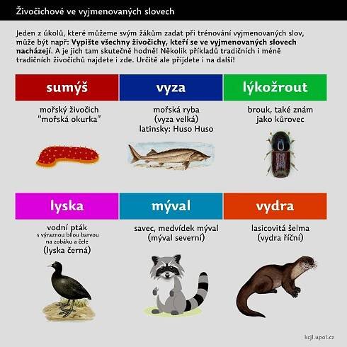 Knihovnička katedry češtiny