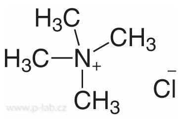 TETRAMETHYLAMONIUM CHLORID | P-LAB