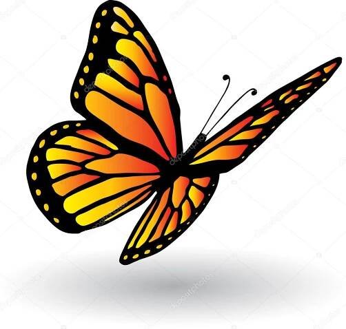 Download - Butterfly — Stock Illustration