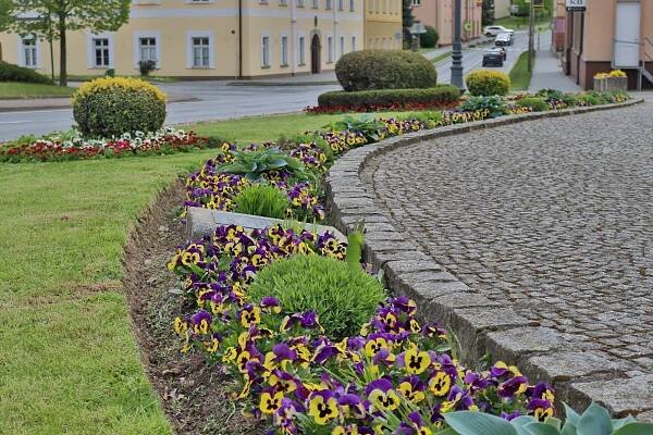 Chodová Planá získala Zlatou stuhu, městys postupuje do celostátního kola
