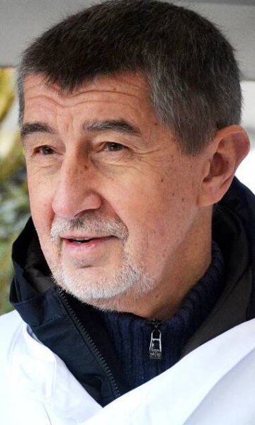 Gouvernement Babiš I