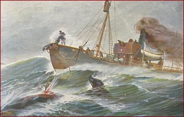 Lodě (vodní doprava) * Marine Galerie 044 - parník, rybář * M6371 - Pohlednice