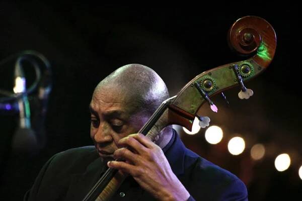Reggie Johnson (musician) - Wikipedia