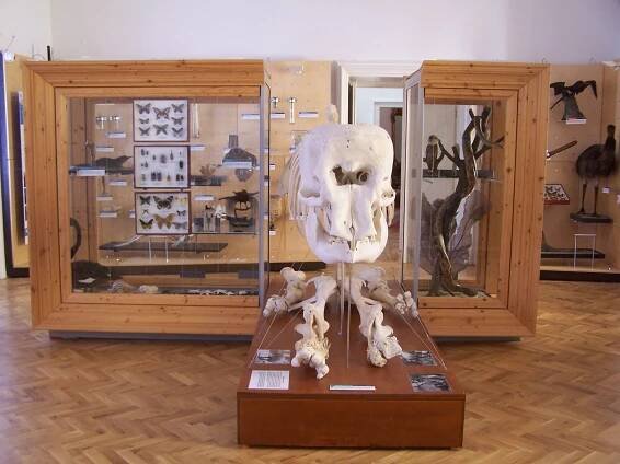 Hrad Malenovice • Muzeum jihovýchodní Moravy ve Zlíně