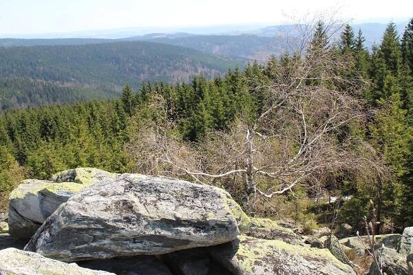 Velikonoční Hanušovická vrchovina. Putování s bivakem přes Bílé kameny, Skály a Rabštejn na Skřítek