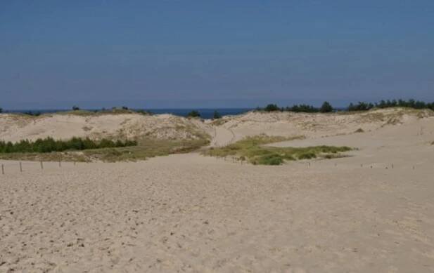 písečné duny polská sahara