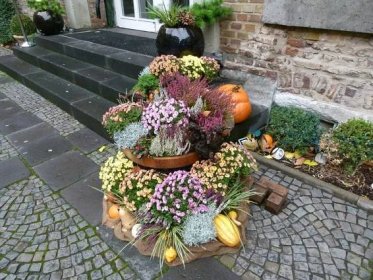 Podzimní dekorace z dýní | Moderní zahrada
