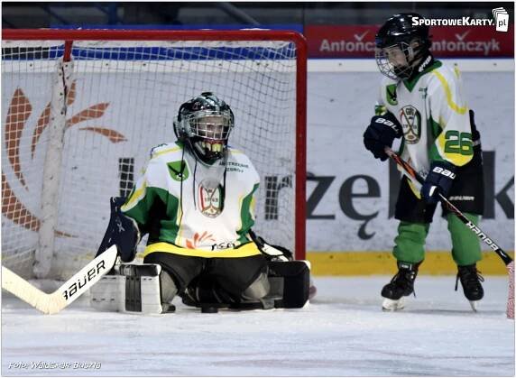 Kolekcjonerskie karty - Sportowe karty - Hokejowe Karty - Polski hokej - Polska Hokej Liga