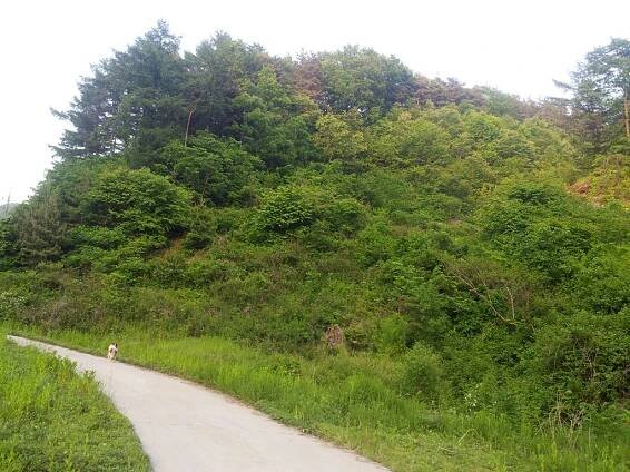 Yatoo Residency | Gongju city, Korea 2014 – Mahmoud Maktabi