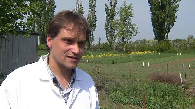 Zahrádkáři aplikují chemii a nečtou návody, říká autor botanických pesticidů