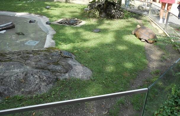 Liberec 1: Zoologická zahrada