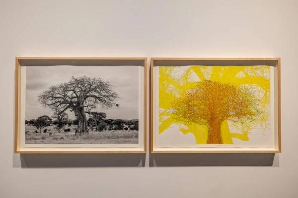 Visual artist Charles Gaines at his new exhibition at Hauser & Wirth in West Hollywood on Wednesday, Feb. 12, 2025 in LA, CA