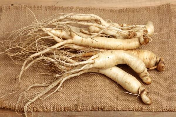 Korean Ginseng