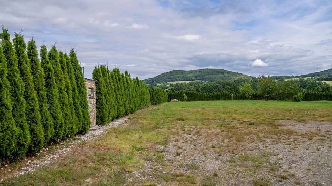 Prodej Pozemek, Těšovice, okres Prachatice