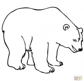 Lední medvěd omalovánka | Omalovánky k Vytisknutí Zdarma