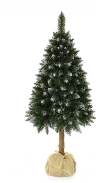 Aga Vánoční stromeček 150 cm s kmenem