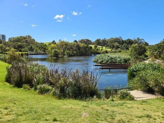 Sydney Park Alexandria - Wildlife Den - South African And Australian Wildlife Photography